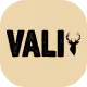 VALI Coffee Co